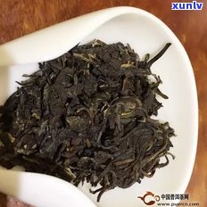 阳春三月普洱茶价格全面解析及查询