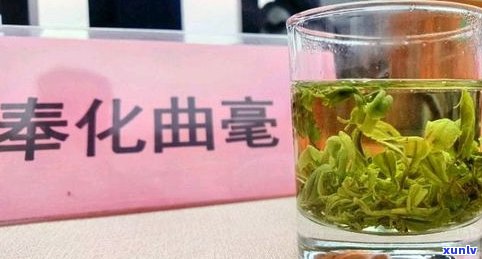 余姚茶叶：品牌、瀑布仙茗、批发市场及位置全介绍