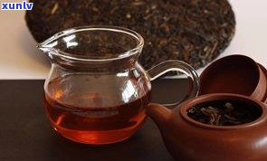 普洱茶用热水泡吗？从热水、冷水到温度，全面解析普洱茶冲泡技巧与注意事项！