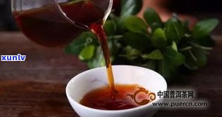 普洱茶_百度百科-小青桔普洱茶百度百科