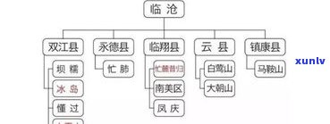 邦改普洱茶口感特点：探究邦改古树茶特性及邦协、邦丙的价格走势