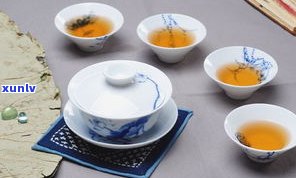 一壶普洱茶可以泡几次？茶叶数量、浸泡时间全知道！