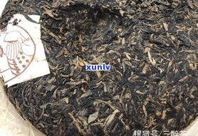 二线普洱茶品牌排行榜：推荐及茶厂一览