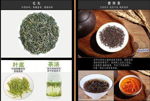 易武普洱茶金骏眉-普洱 金骏眉