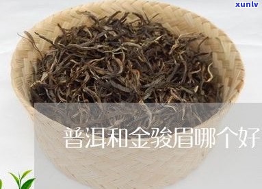 易武普洱茶金骏眉-普洱 金骏眉