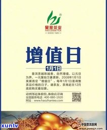 普洱茶的四大品牌：揭示市场领导者