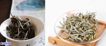 真正的普洱茶价位-真正的普洱茶价位是多少?