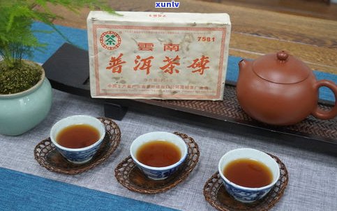 普洱茶的十大绰号-普洱茶的十大绰号是什么