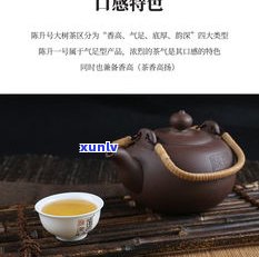 一品普洱茶多少克-一品普洱茶多少克