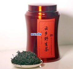 金芽贡茶饼的特点与介绍：了解中国传统名茶的魅力