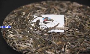 云南千日醉茶化石：探索古老茶文化的神秘之旅