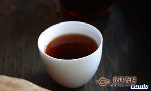 普洱茶上的有益菌是什么？详解其种类与作用