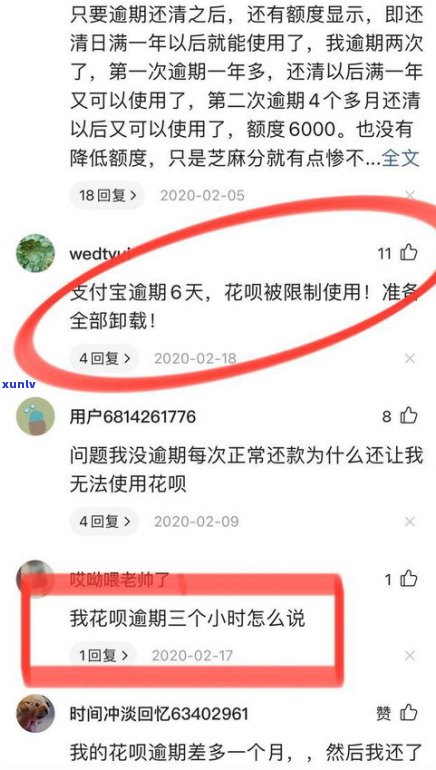 借呗逾期四万五是不是算大额？会起诉吗？