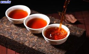 普洱茶的六大茶种-普洱茶的六大茶种是什么