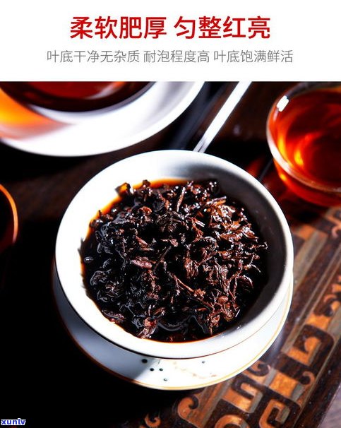 四月茶侬的普洱茶-四月茶侬这个牌子好吗