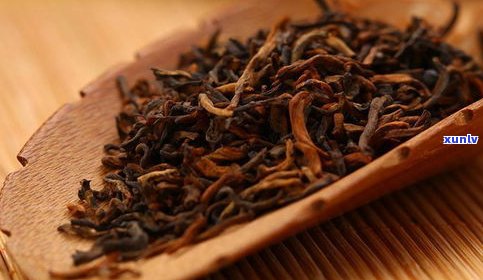 普洱茶金印的特点：独特的发酵工艺与陈化特性
