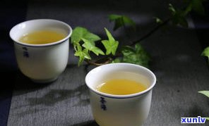 国际友人喝普洱茶视频大全：外国人品鉴中国茶的魅力