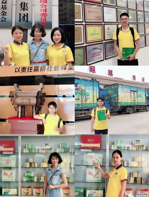 福州普洱茶价格表与图片全览，一网打尽各大品牌店信息！