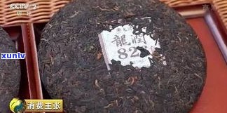 雨林普洱茶哪款值得收藏？口感、品牌及优缺点全解析