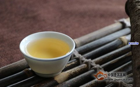 雨林普洱茶哪款值得收藏？口感、品牌及优缺点全解析