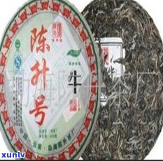 龙年大益普洱茶饼-大益龙年生肖茶饼