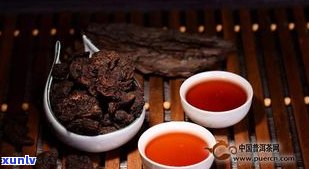 熟普洱茶的更佳搭配：哪些食材能提升口感？