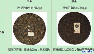 普洱茶有哪四种常见类别及其图片展示