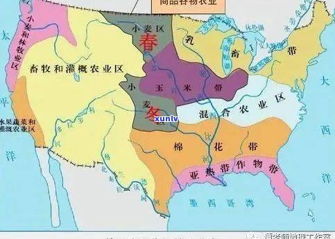 普洱茶：种类、产区、名称、类型及编号全解析