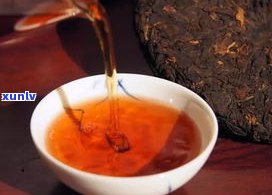 普洱茶大讲堂方可-方可 普洱茶