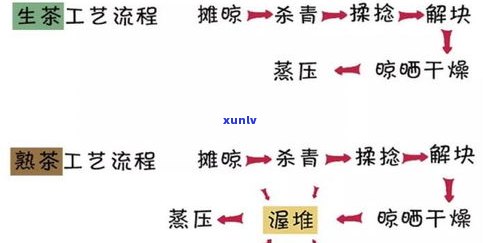 普洱茶大讲堂方可-方可 普洱茶