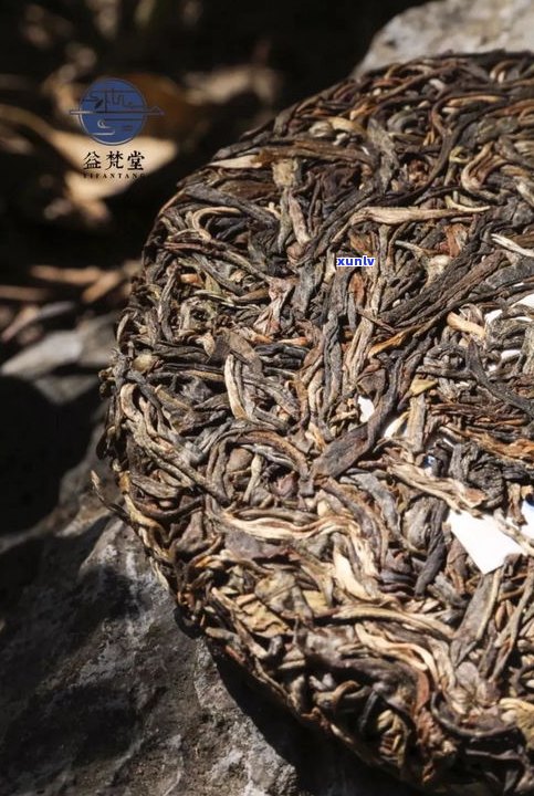 邦东生普洱价格及口感特点介绍，附2015年邦东古树普洱茶价格和云南邦东茶业信息