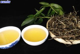 探究小勐峨普洱茶的独特口感与香气特征——小勐峨古树普洱茶的特点与区别