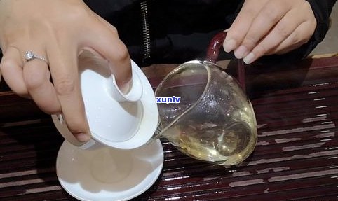 普洱茶怎么加水泡才好喝？详细视频教程及泡法技巧