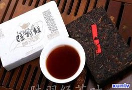 普洱茶世博版价格-普洱茶世博版价格表