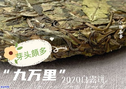 普洱茶叶片和茶梗-普洱茶叶片和茶梗的区别