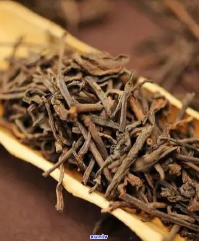 普洱茶叶片和茶梗-普洱茶叶片和茶梗的区别