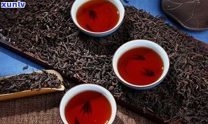 昌泰与国艳：普洱茶品质大比拼，究竟哪个更胜一筹？