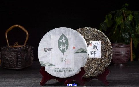 普洱茶双狮的含义和象征：探索其深刻寓意与价值