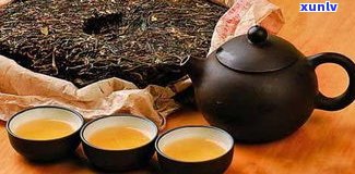 云南昆明普洱茶批发市场：位置、茶叶品种全攻略