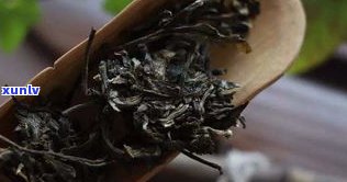 普洱茶有些什么料-普洱茶有些什么料子