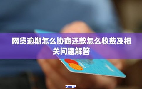 借呗逾期了其他网贷能借吗-借呗逾期了其他网贷能借吗