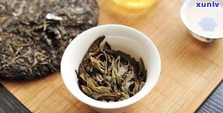 三月田普洱茶生茶-三月滇普洱茶