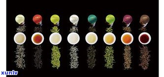 探究普洱茶的六大茶系列及其代表性品牌、品种与类别