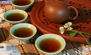 普洱茶系列：种类、产品与名称一览