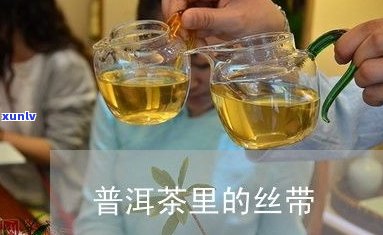 探索普洱茶世界：十大种类、图片与排名全揭秘