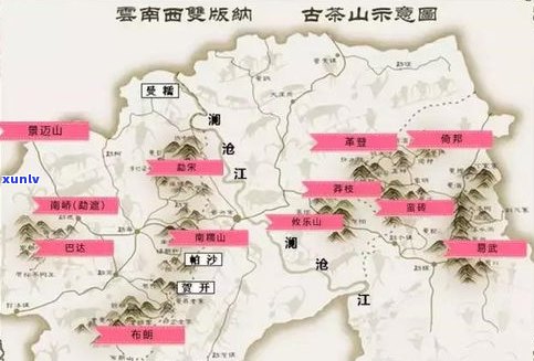 普洱茶小叶种：产地、特点及分布全解析