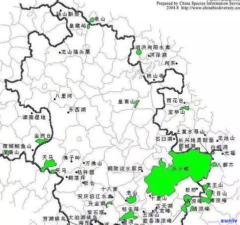 普洱茶小叶种：产地、特点及分布全解析