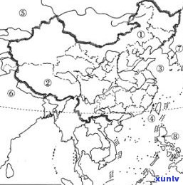 普洱茶小叶种：产地、特点及分布全解析