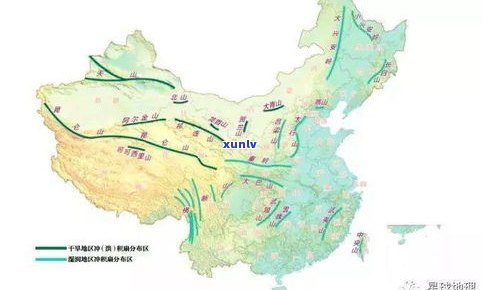 普洱茶小叶种：产地、特点及分布全解析