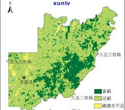 普洱茶小叶种的特点及其产区介绍